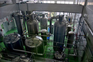 Mycelproduktion und Extraktion in China
