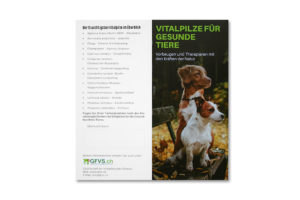 GFVS Flyer 