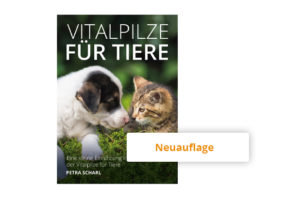 Broschüre: 