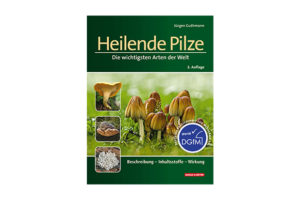 Heilende Pilze - Die wichtigsten Arten der Welt