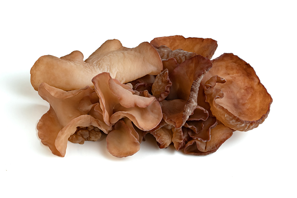 Auricularia Auricula Judae (Judasohr)