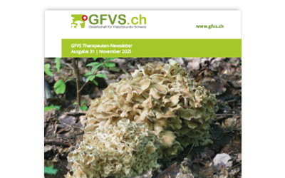 Therapeuten-Newsletter 31 für Mitglieder erschienen