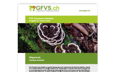 Therapeuten-Newsletter 32 für Mitglieder erschienen